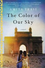 Cover art for The Color of Our Sky: A Novel