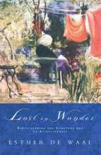 Cover art for Lost in Wonder: Rediscovering the Spiritual Art of Attentiveness