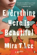 Cover art for Everything Here Is Beautiful: A Novel