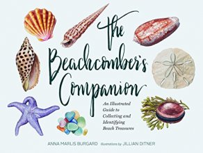 Cover art for The Beachcomber's Companion: An Illustrated Guide to Collecting and Identifying Beach Treasures (Watercolor Seashell and Shell Collecting Book, Beach Lover Gift)
