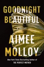 Cover art for Goodnight Beautiful: A Novel