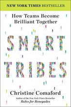 Cover art for SmartTribes: How Teams Become Brilliant Together