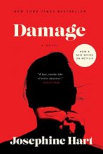 Cover art for Damage: A Novel