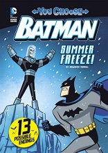 Cover art for Summer Freeze! (You Choose Stories: Batman)