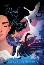 Cover art for A Rush of Wings