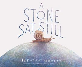 Cover art for A Stone Sat Still: (Environmental and Nature Picture Book for Kids, Perspective Book for Preschool and Kindergarten, Award Winning Illustrator)