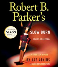 Cover art for Robert B. Parker's Slow Burn (Spenser)