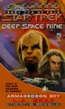 Cover art for Armageddon Sky (Star Trek Deep Space Nine: Day of Honor, Book 2)