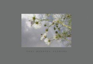 Cover art for Flowers