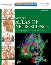 Cover art for Netter's Atlas of Neuroscience (Netter Basic Science)