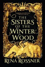 Cover art for The Sisters of the Winter Wood