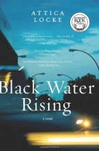 Cover art for Black Water Rising: A Novel