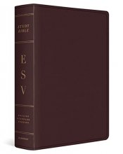 Cover art for ESV Study Bible, Large Print (Bonded Leather, Burgundy)