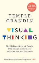 Cover art for Visual Thinking
