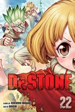 Cover art for Dr. STONE, Vol. 22 (22)