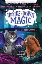 Cover art for Night Owl (Upside-Down Magic #8)