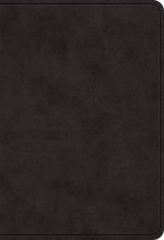 Cover art for ESV Value Large Print Compact Bible (TruTone, Black)