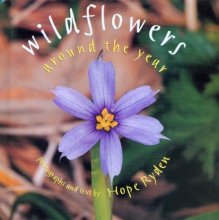 Cover art for Wildflowers Around the Year