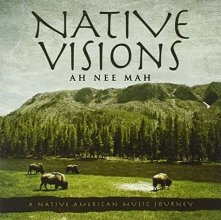 Cover art for Native Visions: A Native American Music Journey