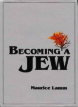 Cover art for Becoming a Jew