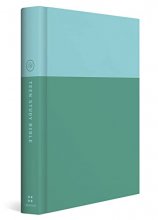 Cover art for ESV Teen Study Bible (Hardcover, Wellspring)