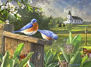 Cover art for Buffalo Games - Hautman Brothers - Birds, Blooms, and Butterflies - 1000 Piece Jigsaw Puzzle