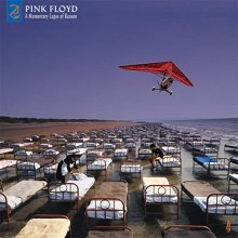 Cover art for A Momentary Lapse Of Reason (Remixed & Updated)