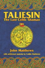 Cover art for Taliesin: The Last Celtic Shaman