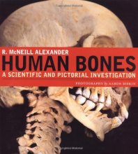 Cover art for Human Bones: A Scientific and Pictorial Investigation