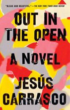 Cover art for Out in the Open: A Novel
