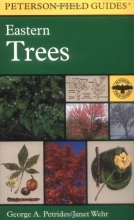 Cover art for A Field Guide to Eastern Trees (Peterson Field Guides)