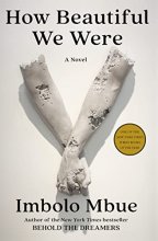 Cover art for How Beautiful We Were: A Novel