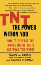 Cover art for TNT: The Power Within You