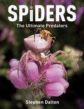 Cover art for Spiders: The Ultimate Predators