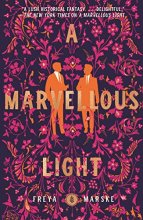 Cover art for Marvellous Light (The Last Binding, 1)