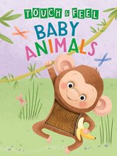 Cover art for Baby Animals: A Touch and Feel Book - Children's Board Book - Educational