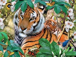 Cover art for Ceaco - Harmony - Tigers - 550 Piece Jigsaw Puzzle