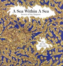 Cover art for A Sea within a Sea: Secrets of the Sargasso