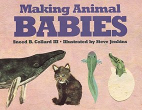 Cover art for Making Animal Babies