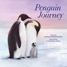 Cover art for Penguin Journey