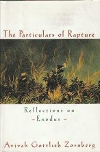 Cover art for The Particulars of Rapture: Reflections on Exodus