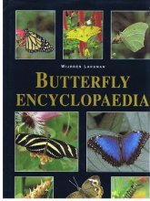 Cover art for Butterfly Encyclopedia