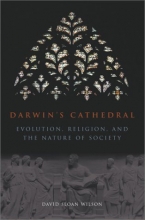 Cover art for Darwin's Cathedral: Evolution, Religion, and the Nature of Society