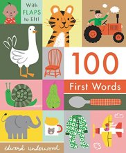 Cover art for 100 First Words