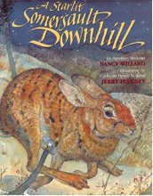 Cover art for A Starlit Somersault Downhill