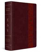 Cover art for ESV Study Bible, Large Print (TruTone, Mahogany, Trellis Design)
