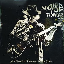 Cover art for Noise and Flowers