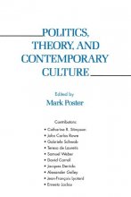 Cover art for Politics, Theory, and Contemporary Culture (Critical Theory Institute Book)