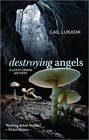 Cover art for Destroying Angels.