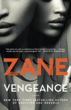 Cover art for Vengeance: A Novel